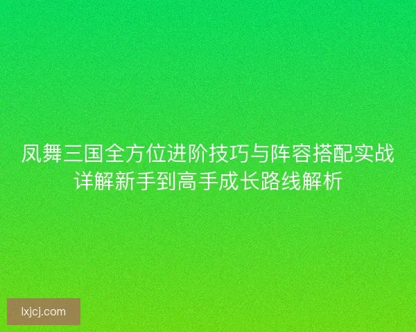 凤舞三国全方位进阶技巧与阵容搭配实战详解新手到高手成长路线解析